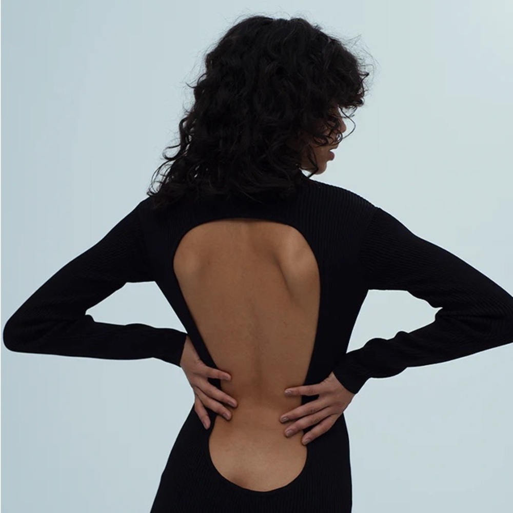 Musier Paris Darc long sleeve mock neck backless dress